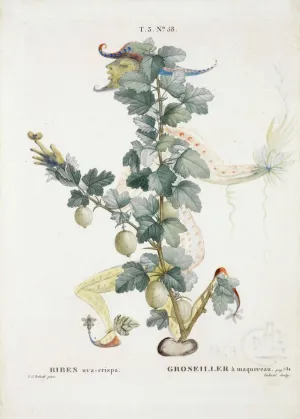 Curtsying Gooseberry (Fruit Series) - Salvador Dali Painting