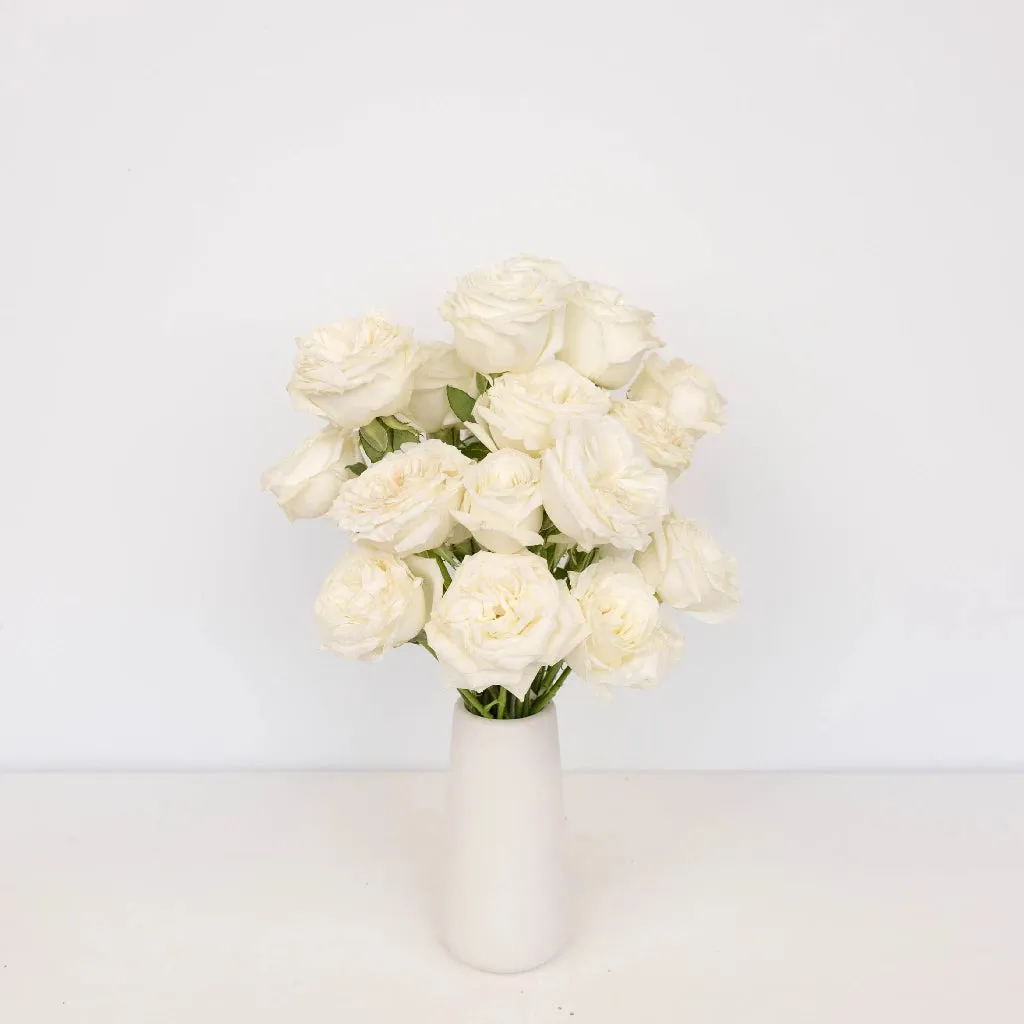 White Rose Valentines Day Special